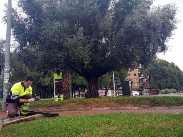 Murcia reduce el riego en más de 700.000 m2 de zonas de césped gracias al sistema de control del agua instalado en las zonas verdes - 1, Foto 1