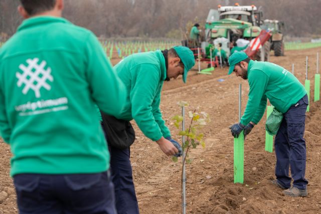 Agróptimum celebra el Día del Pistacho como cultivo rentable y sostenible - 1, Foto 1