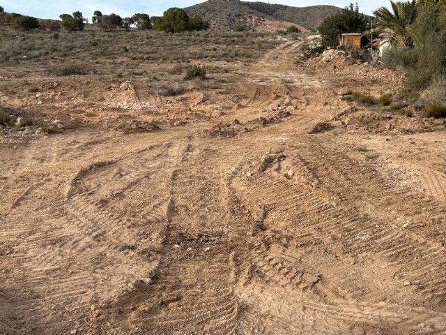 Eliminación de una especie de flora invasora en más de 10 hectáreas del paraje de la Aceña del Hierro de Totana, Foto 2