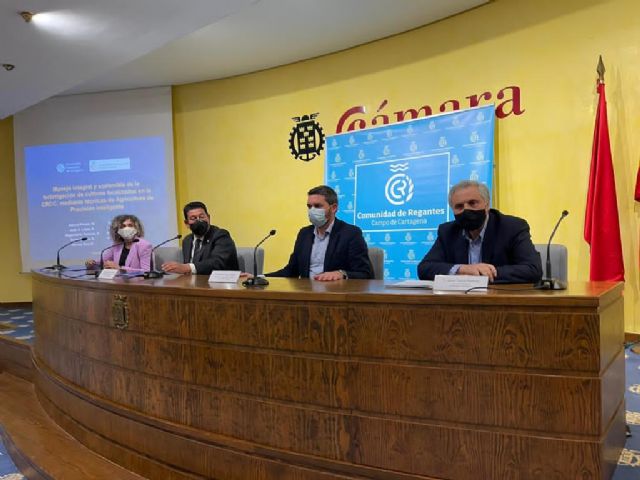 La Comunidad comenzará a instalar en mayo en el Campo de Cartagena 500 puntos de medición para un uso más eficaz de agua, fertilizantes y energía - 1, Foto 1