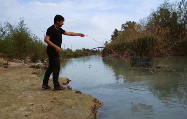 La CHS inicia una campaña en busca de posibles nuevas especies invasoras - 2, Foto 2