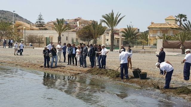 La Comunidad pone en marcha el servicio de limpieza, mantenimiento y vigilancia de los espacios naturales del Mar Menor - 1, Foto 1