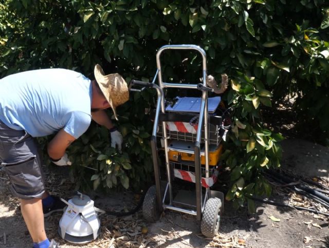 El IMIDA demuestra que el empleo de ozono con aguas regeneradas proporciona beneficios en el cultivo de cítricos - 1, Foto 1