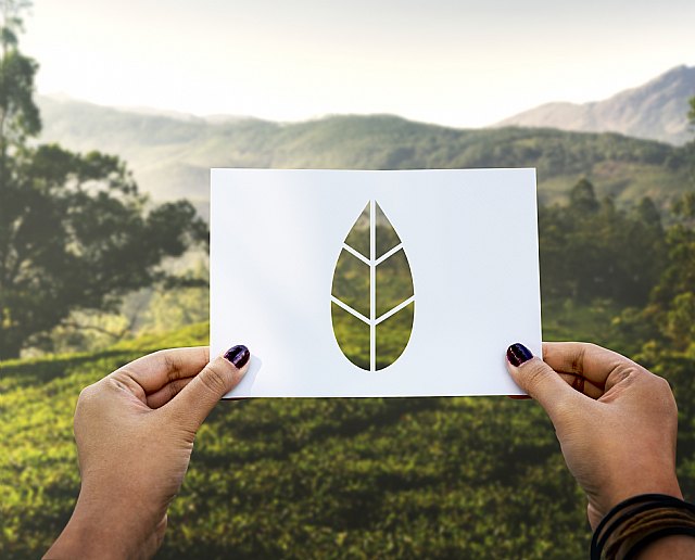 El branding sostenible se consolida como tendencia en la creación de nuevas marcas - 1, Foto 1