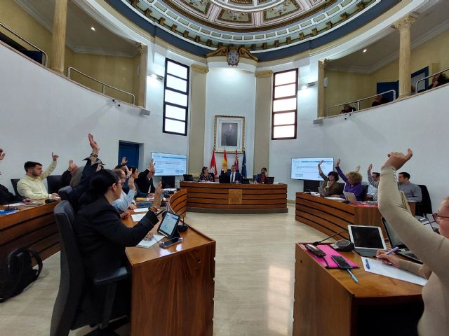 Aprobada en Pleno la nueva normativa para patinetes eléctricos y otros vehículos de movilidad personal - 1, Foto 1