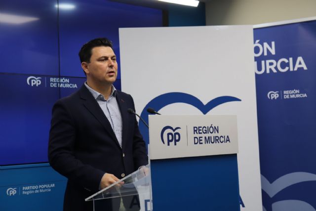 El PP regional anima a los ciudadanos a manifestarse mañana en Madrid para clamar contra el Gobierno de Sánchez y sus políticas - 1, Foto 1