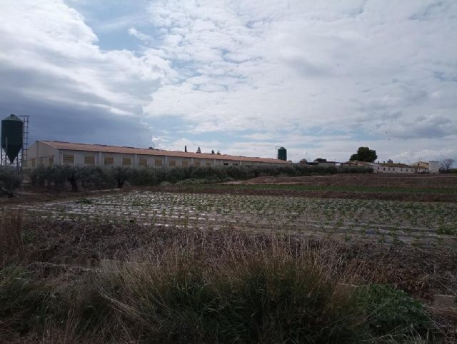 No autorizado el proyecto de ampliación de una granja porcina en Lorca alegado por Ecologistas en Acción - 1, Foto 1