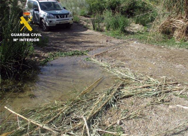 La Guardia Civil sorprende en Lorca a un cazador furtivo capturando aves fringílidas - 1, Foto 1