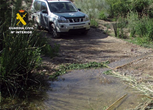 La Guardia Civil sorprende en Lorca a un cazador furtivo capturando aves fringílidas - 2, Foto 2