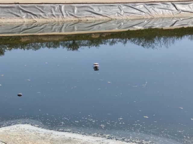 Denuncian que están llenando el lago de Condado de Alhama con agua potable - 3, Foto 3