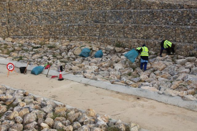 Consejos Comarcales de Empleo: actuaciones para la conservacin de espacios pblicos y zonas verdes en Alhama de Murcia, Foto 1