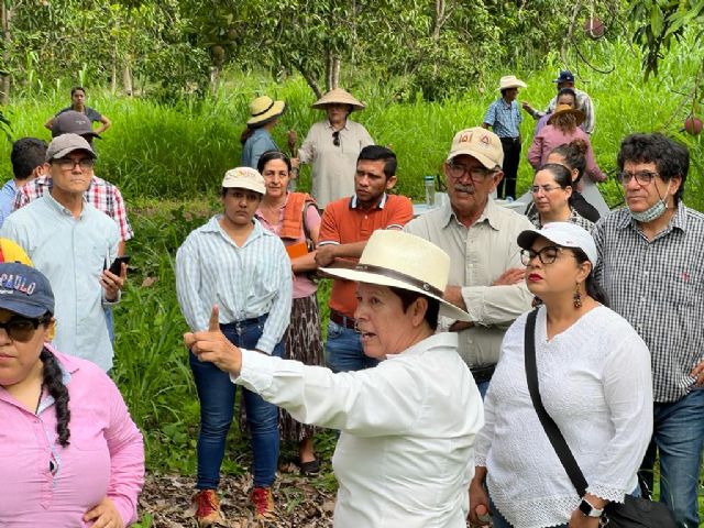 Nayarit se convierte en capital del conocimiento para la industria del mango - 3, Foto 3