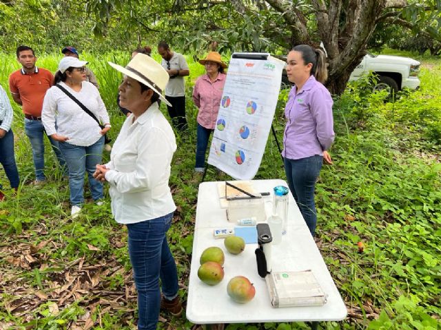 Nayarit se convierte en capital del conocimiento para la industria del mango - 4, Foto 4