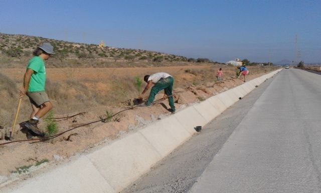 Las tareas de limpieza de la duna fósil del parque regional de Calblanque continúan este lunes - 2, Foto 2