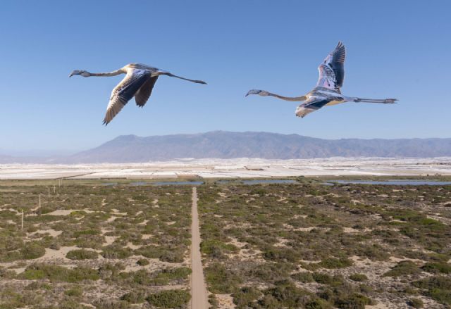 El Ejido también es naturaleza - 1, Foto 1