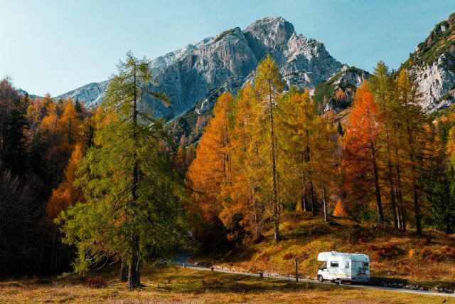 CamperDays brinda la oportunidad de compensar las emisiones de CO2 de los viajes en autocaravana - 1, Foto 1