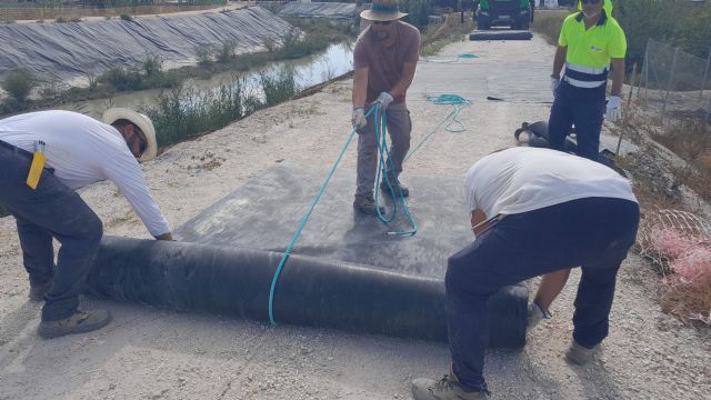 La CHS inicia la segunda fase de los trabajos de restauración medioambiental en el río Segura - 2, Foto 2