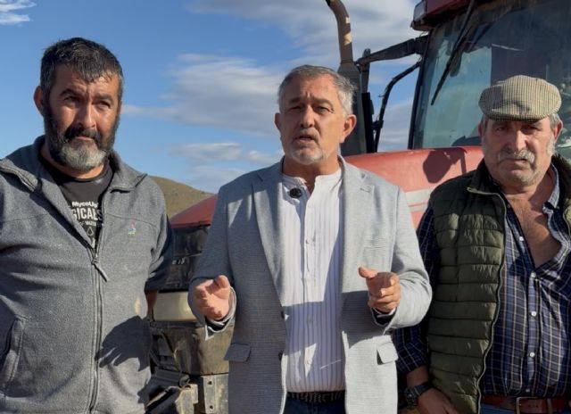 El PP se suma a la tractorada del 28 de octubre en Madrid para defender el futuro del campo de Lorca frente a las políticas del Gobierno de Pedro Sánchez El PP se suma a la tractorada del 28 de octubre en Madrid para defender el futuro del campo de Lorca frente a las políticas del Gobierno de Pedro Sánchez