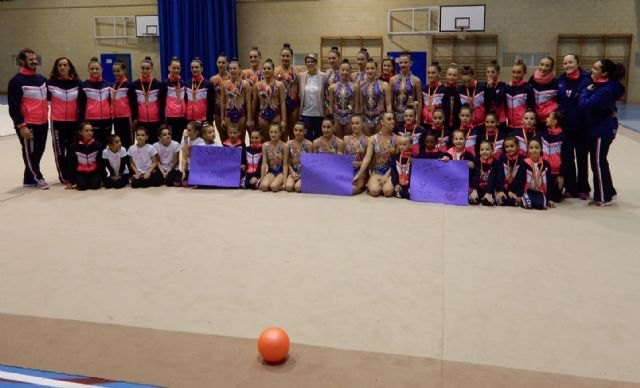 La Comunidad confía en que los tres conjuntos del Club Cronos alcancen la final en el Campeonato de España de Gimnasia Rítmica - 1, Foto 1