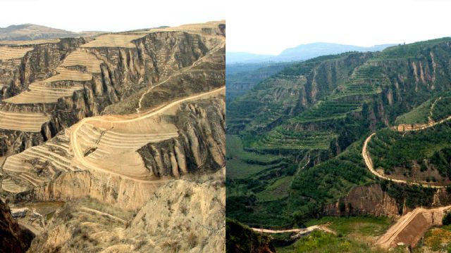 Millán aboga por reforestar para mejorar el suelo, recuperar las tormentas de verano y frenar así el cambio climático - 2, Foto 2