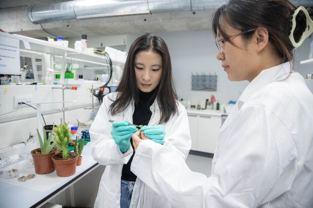 La UCAM, segunda universidad privada de España en investigación interdisciplinar - 1, Foto 1