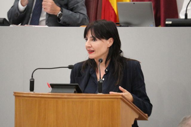 El PSOE impulsará en la Asamblea Regional medidas para combatir la violencia de género y los discursos negacionistas - 1, Foto 1