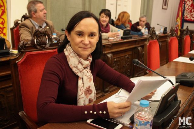 MC: Castejón da continuidad a su política autoritaria imponiendo actuaciones superfluas y discriminatorias en el Consejo Municipal de Comercio - 1, Foto 1