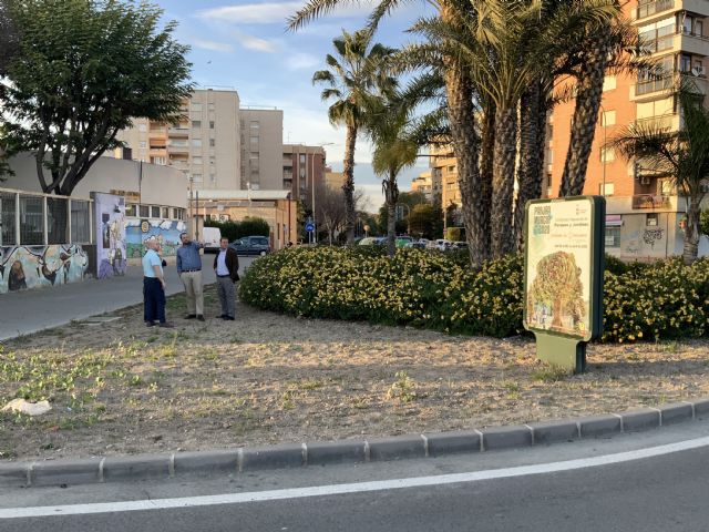 El Plan Hiedra llega al Barrio del Infante - 3, Foto 3