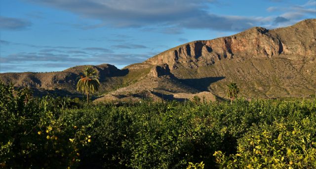 Santomera solicita la protección de la parte murciana de la Sierra de Orihuela - 1, Foto 1