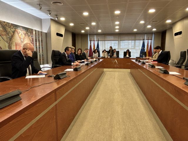 ACEIMUR traslada a la Asamblea Regional las necesidades de los centros privados de Educación Infantil de la Región de Murcia - 3, Foto 3