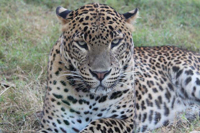 Terra Natura Murcia se integra en la Asociación Europea de Zoológicos y Acuarios - 1, Foto 1