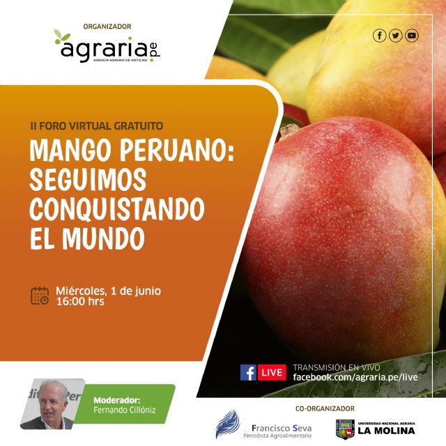 En marcha el II Foro Digital del Mango Peruano - 1, Foto 1