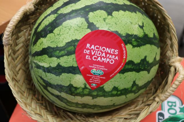 Las previsiones de la cooperativa de segundo grado para 2024 apuntan a una comercialización de 145.000 toneladas de esta fruta de cultivo 100% nacional - 2, Foto 2