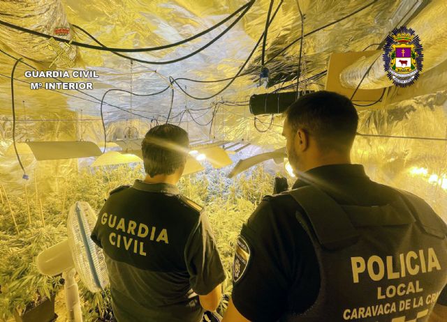 Desmantelan una casa-invernadero con más de 11 kilos de cannabis en la pedanía caravaqueña de La Encarnación - 4, Foto 4