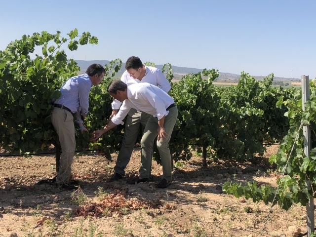 Pagadas el cien por cien de las ayudas directas de la Política Agraria Común para agricultura - 1, Foto 1