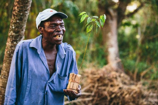 Un español revoluciona los proyectos de reforestación eliminando el uso de plástico del proceso - 1, Foto 1