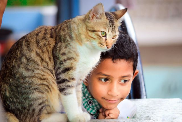 Cómo ayudar a un niño a superar la muerte de su animal de compañía - 2, Foto 2