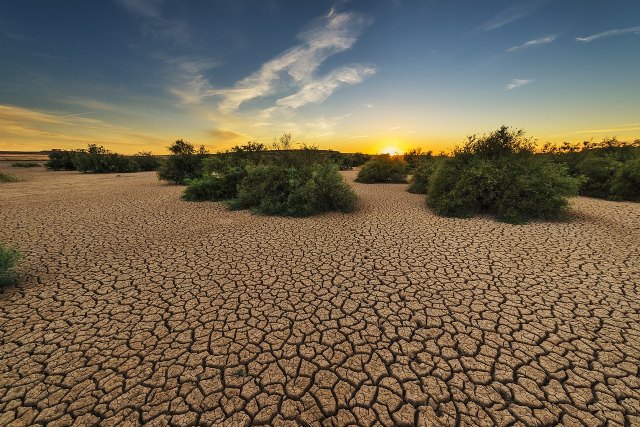 Un sensor para reducir el consumo de agua de la agricultura y plantarle cara a la sequía - 1, Foto 1