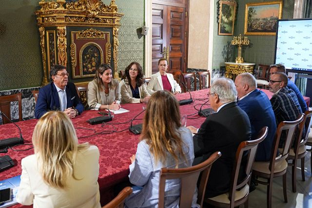 Ayuntamiento de Sevilla . El Ayuntamiento de Sevilla expone su potencial ante la Asociación Mundial APG de representación aérea - 3, Foto 3