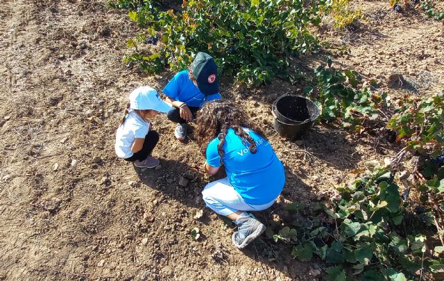 Más de 300 voluntarios se movilizan en la celebración de la Semana Social de CaixaBank en la Región de Murcia - 3, Foto 3