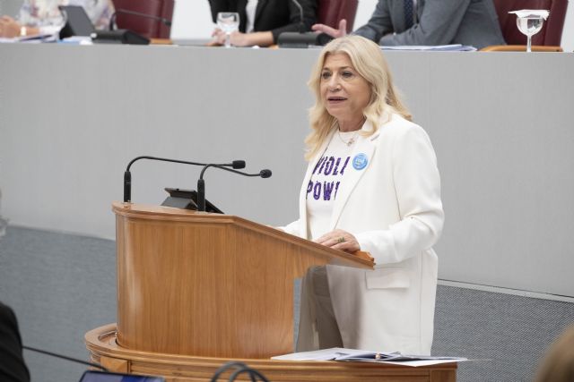 Gloria Alarcón: El PSOE rechaza la Ley de Familias del PP de López Miras e Isabel Franco porque no incluye a todas las familias, y a las que incluye no les garantiza ni la protección ni las ayudas que merecen - 1, Foto 1