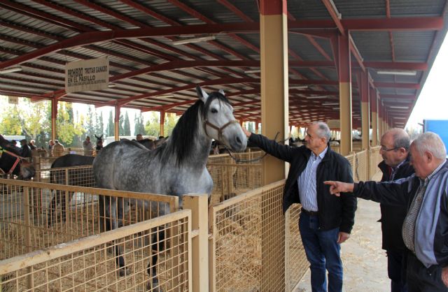 Inaugurada la Feria de Ganado Equino de Puerto Lumbreras 2016 - 1, Foto 1