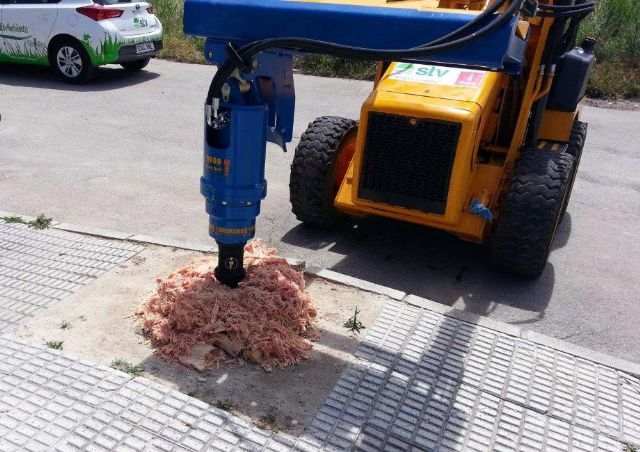 La eliminación de 'tocones' permitirá la plantación de más de un centenar de nuevos árboles - 1, Foto 1