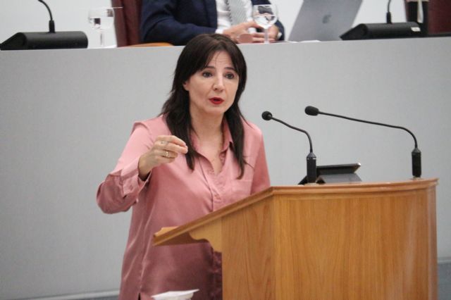 El PSOE saca adelante en la Asamblea su moción sobre medidas para erradicar la violencia contra la mujer y combatir los discursos negacionistas - 1, Foto 1