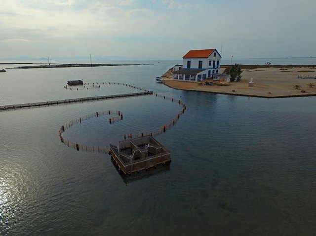 El Consejo Asesor Regional de Medio Ambiente da luz verde a la constitución del Consejo del Mar Menor y al Comité de Asesoramiento Científico - 1, Foto 1