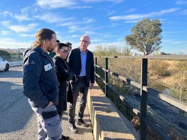 El meandro del río Segura entre El Raal y Beniel recupera el bosque de ribera gracias a la replantación del Ayuntamiento con ANSE - 2, Foto 2