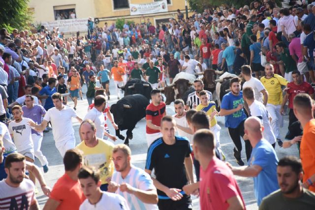 Servicio de organización de los encierros y festejos taurinos en Calasparra - 1, Foto 1