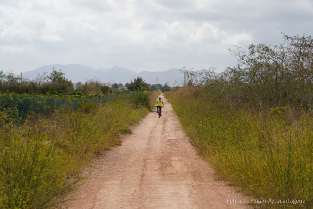 Cartagena promueve la Vía Verde como camino jubilar dentro de la Ruta del Apóstol - 1, Foto 1