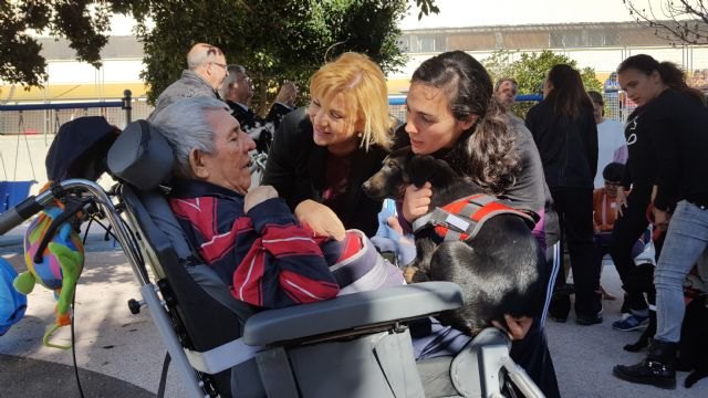 La Comunidad pone en marcha terapias alternativas con animales para personas mayores y personas con discapacidad - 1, Foto 1