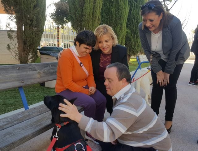 La Comunidad pone en marcha terapias alternativas con animales para personas mayores y personas con discapacidad - 2, Foto 2